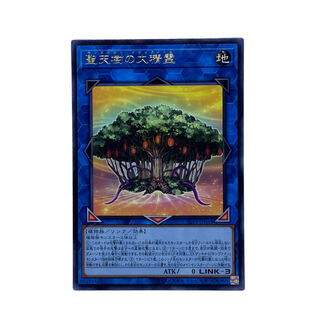 1485 [King of Games] Sunavalon Dryanome SLT1-JP031 [R