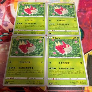 ケムッソ C 004/071