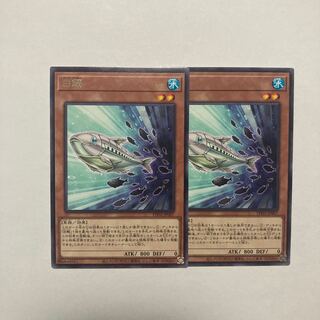 White sardine rare PHNI-JP007