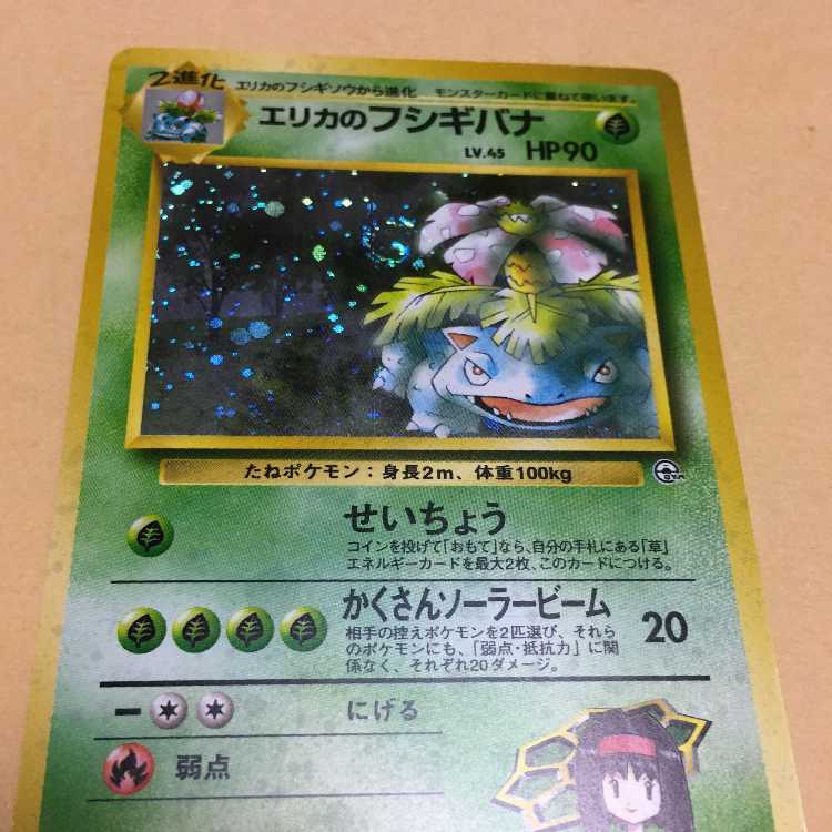 Erika's Venusaur Old Back