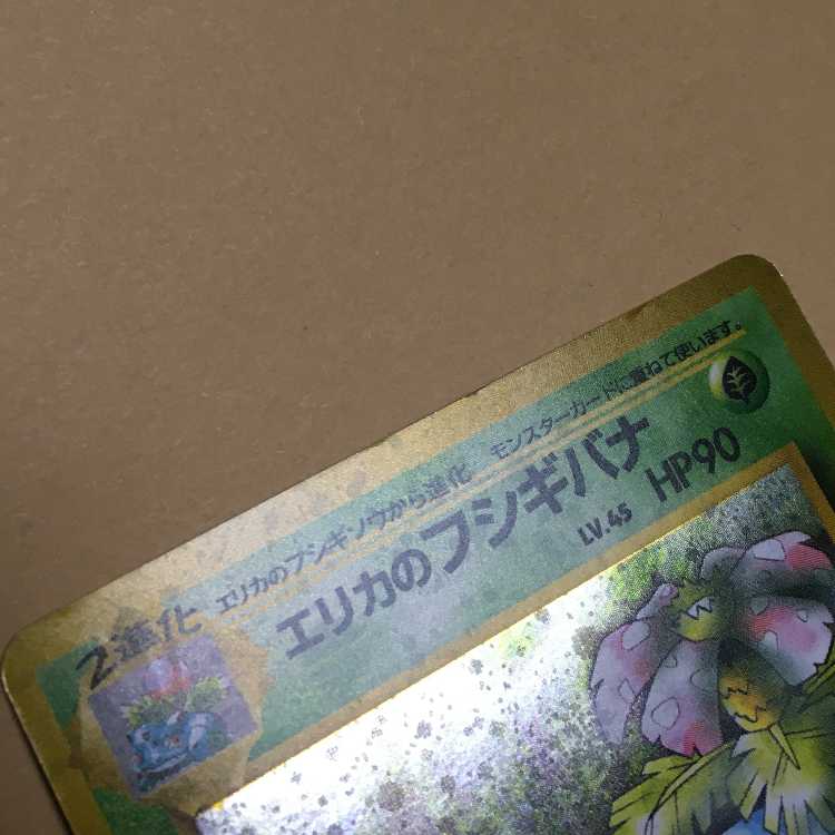 Erika's Venusaur Old Back