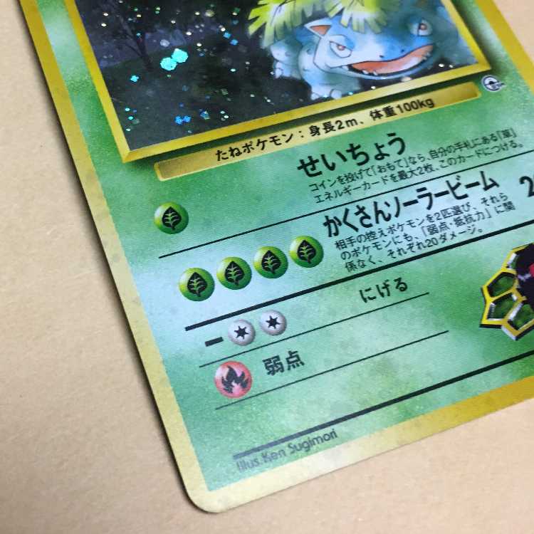 Erika's Venusaur Old Back