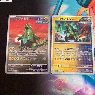 Tetsu no Ibara (the six-spined ladybird of the genus Tetsui) 1枚