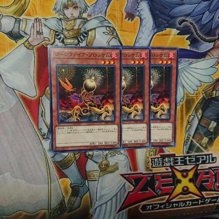 ローンファイア・ブロッサム N