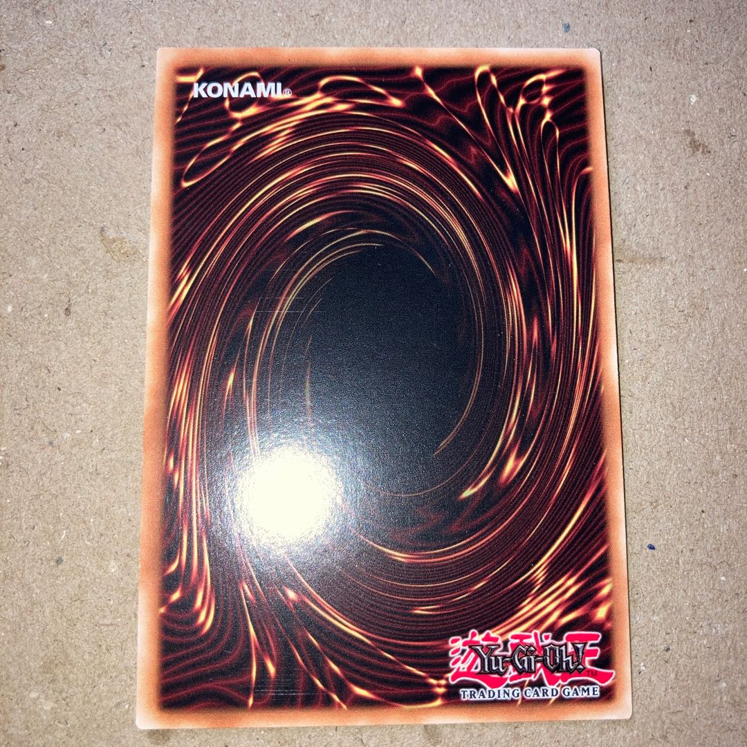 Spearhead Princess Rose English Prisik