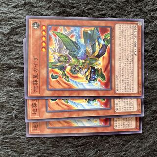 Kaiser, the Earth Burial Star Normal JP022