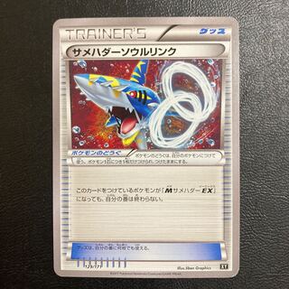 【特価】サメハダーソウルリンク 129/171