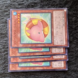 Fluffal Dolphin Normal JP021