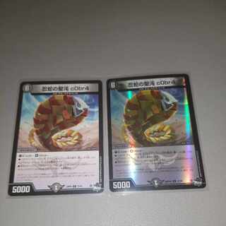 忍蛇の聖沌 c0br4 R 17/74