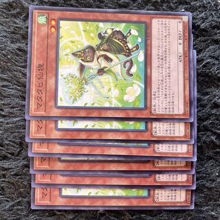 Matatabi sengan tanuki normal JP031