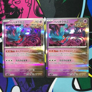 Habatakkami R 033/071