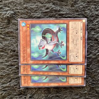 ヤモイモリ ノーマル JP029