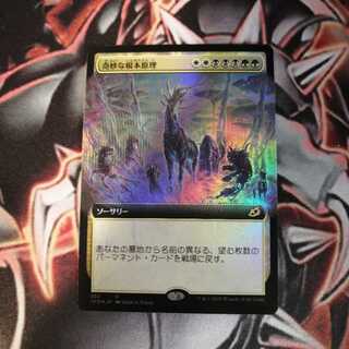 奇妙な根本原理 foil 拡張アート 1枚