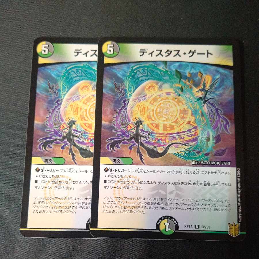 Distus Gate R 28/95 Set of 2