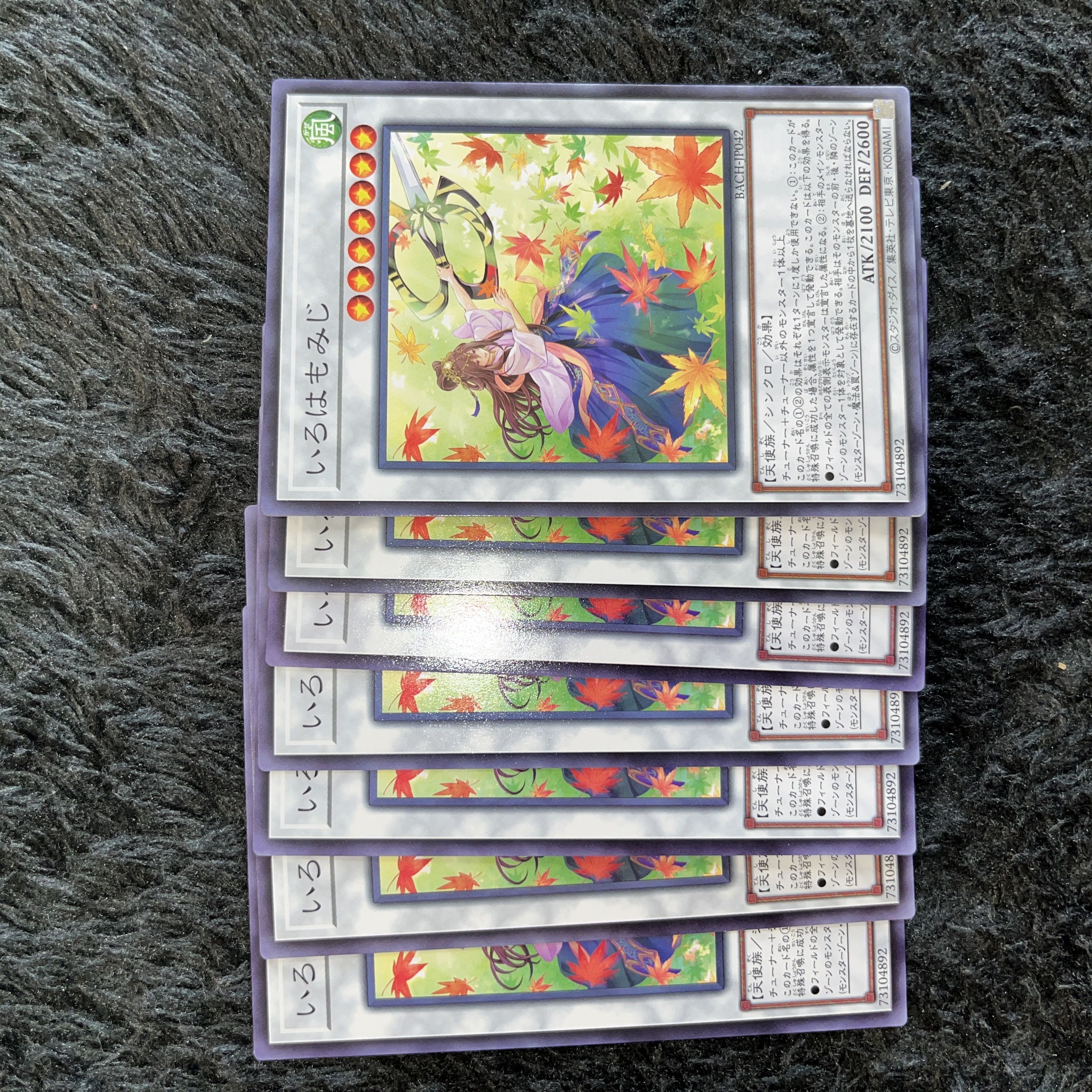 Iroha momiji normal JP042