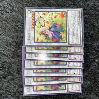 Iroha momiji normal JP042