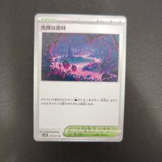 危険な密林 U 070/071