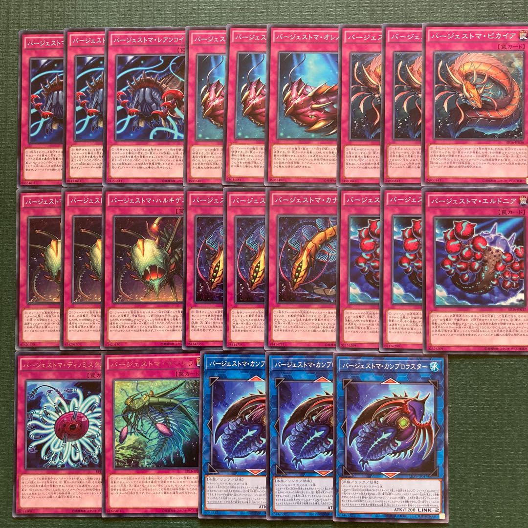 23 Burgess Toma Parts Paleozoic Dinomischus