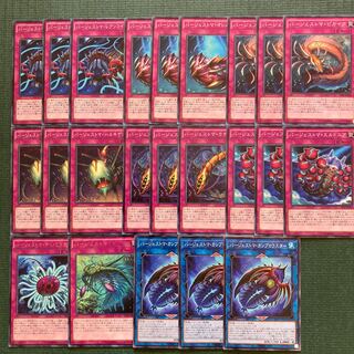 23 Burgess Toma Parts Paleozoic Dinomischus