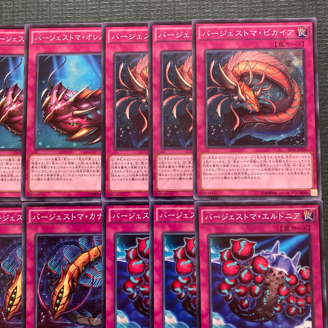 23 Burgess Toma Parts Paleozoic Dinomischus