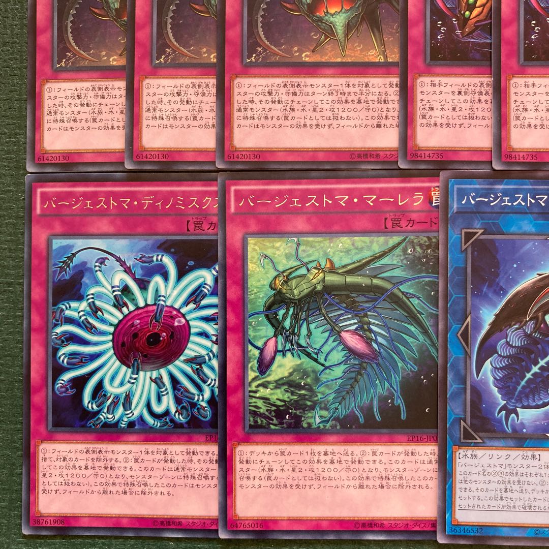 23 Burgess Toma Parts Paleozoic Dinomischus