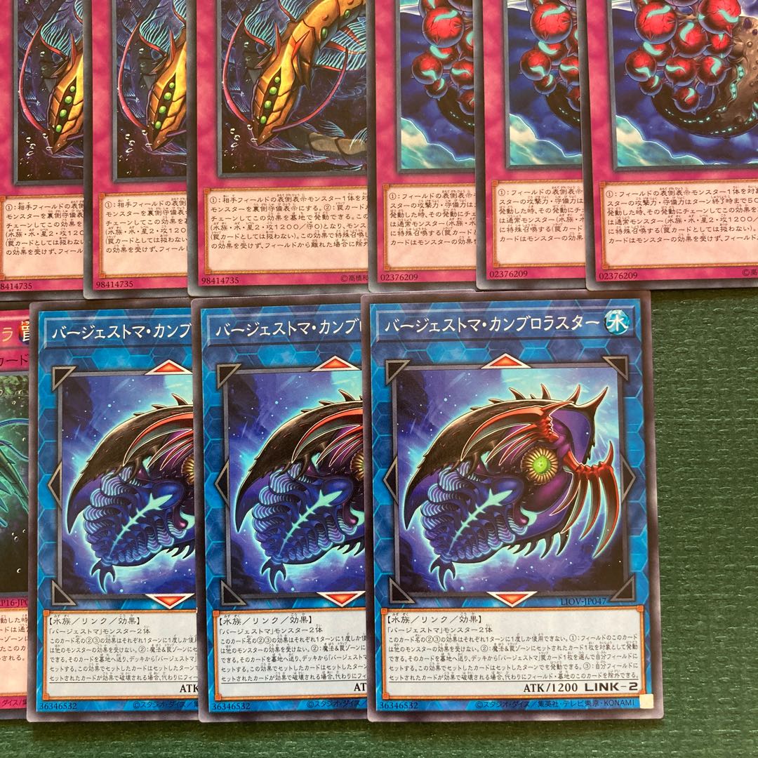 23 Burgess Toma Parts Paleozoic Dinomischus