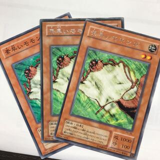 素早いモモンガ