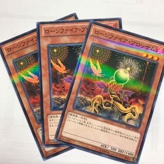 ローンファイア・ブロッサム