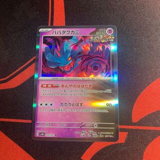 Habatakkami R 033/071