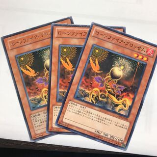 ローンファイア・ブロッサム