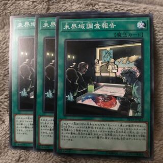 マドレース 未界域調査報告