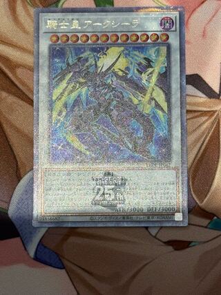 Knight Emperor Arksila 25th Secret