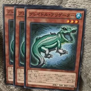 マドレース グレイドル・アリゲーター