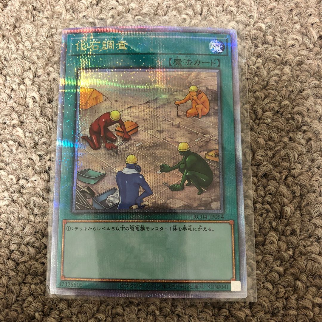 Fossil Dig QSE JP054