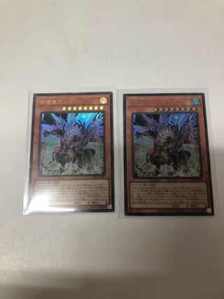 破壊竜ガンドラG 2枚セット