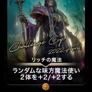 リッチの魔法 出品時Lv57