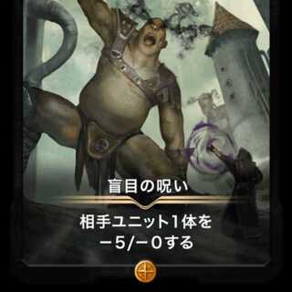 盲目の呪い 出品時Lv60