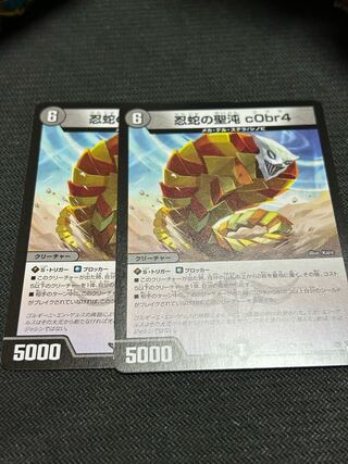 忍蛇の聖沌c0br4