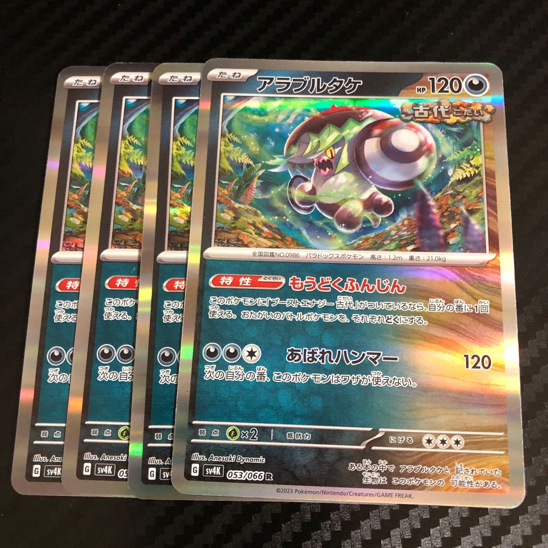 アラブルタケ R 053/066