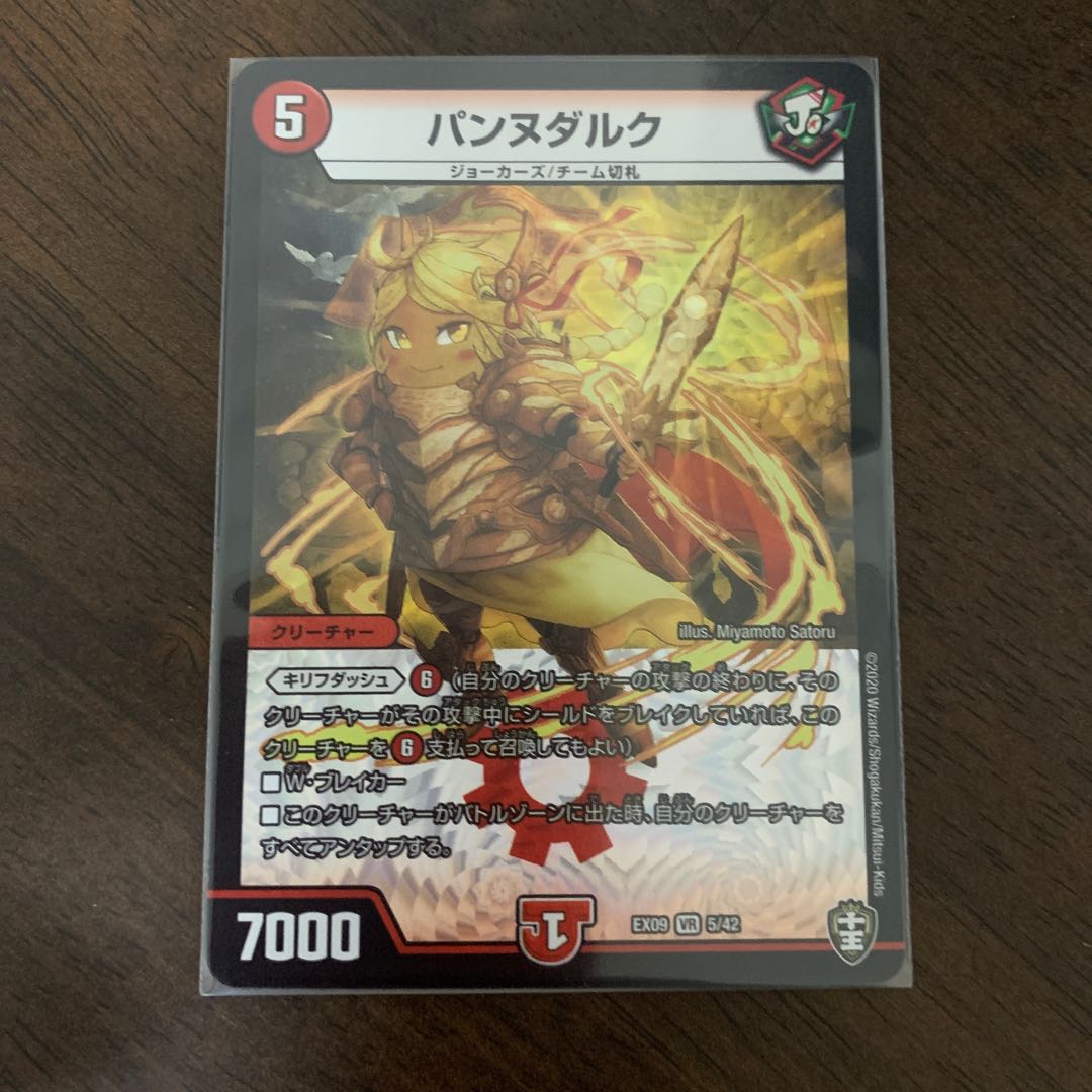 パンヌダルク VR 5/42 1枚