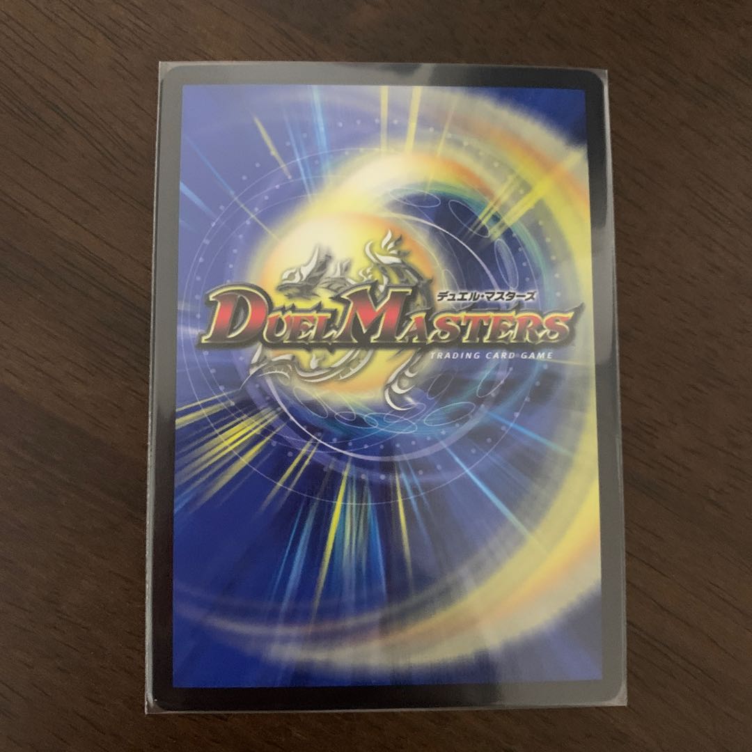 パンヌダルク VR 5/42 1枚