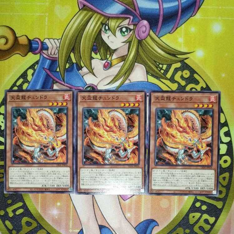 Tenpai Ryu Tundra LEDE-JP018 Set of 3