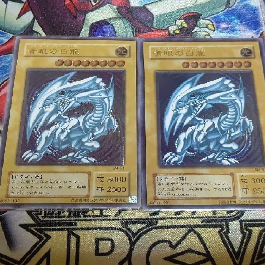 ホルモン様 レリーフ 10パック