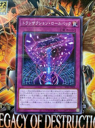 Transaction rollback parallel normal JP028