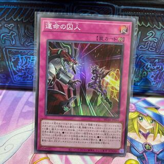 No.294 P shop Prisoner of Fate [Super].