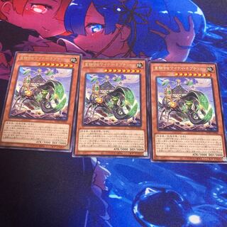 Heavy Horseshoe Beetle Mighty Neptune Rare JP006