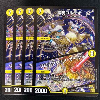 Protektion Circle R 21/60