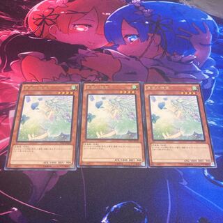 Spirit of the Fall Wind Rare