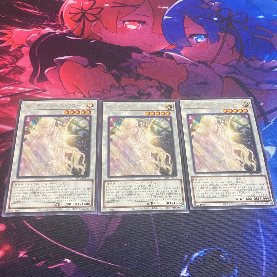 Garden Rose Flora Rare