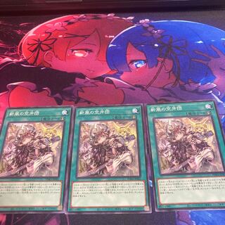 Rookie Fur Hire Normal